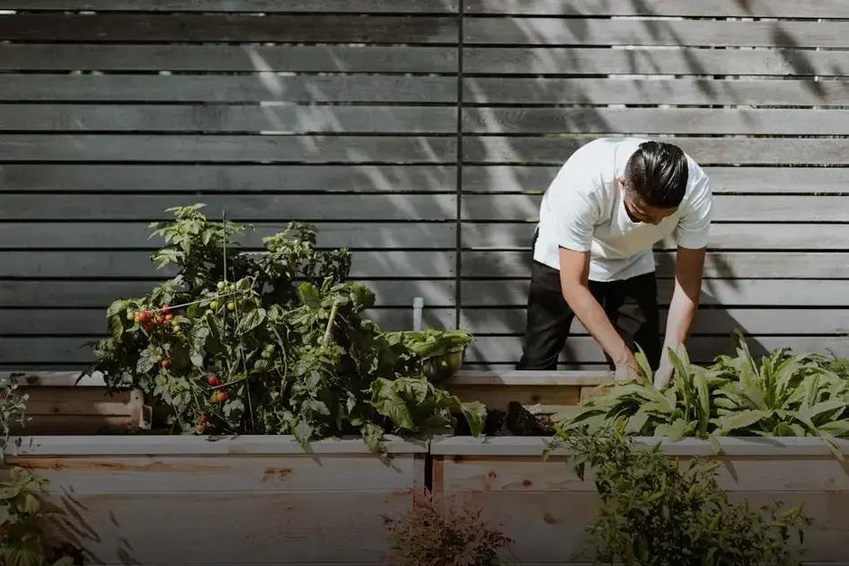 Benefits of Perennials vs. Annuals