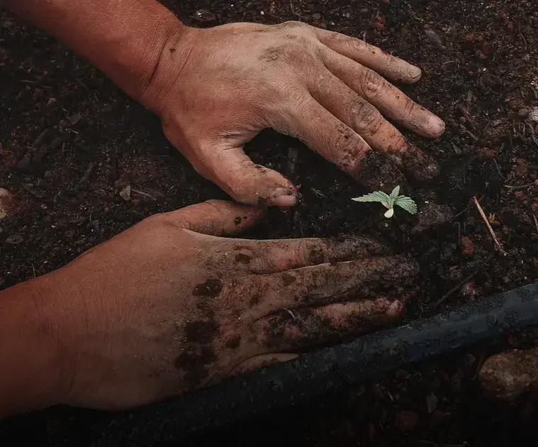 Essential Tools for Gardening